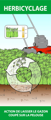 Image du principe d’herbicyclage, illustrant une tondeuse qui coupe le gazon et qui laisse les rognures sur le sol pour nourrir la terre et ainsi aider à la croissance du gazon.