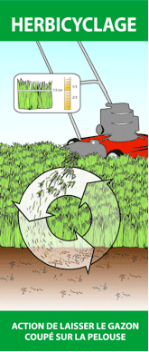 Illustration de l'herbicyclage Illustration de l'herbicyclage
